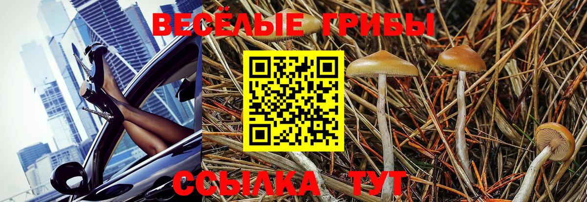 Псилоцибиновые грибы мухоморы Саяногорск