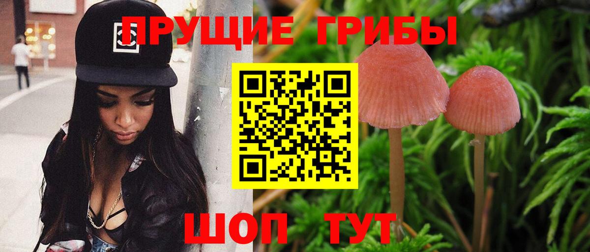 Саяногорск  Галлюциногенные грибы MAGIC MUSHROOMS  Галлюциногенные грибы Magic Shrooms  Вход с VPN 